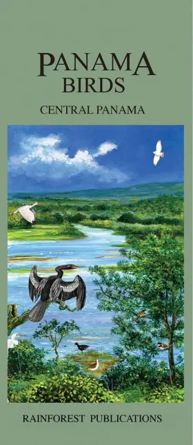 Rainforest Publications 781888538601 Central Panama Bird Guide Laminated Foldout Pocket Field English And Sp