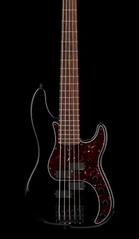 Ds5-pb2 Rkm - Black #00010 Namm Demonstration Model