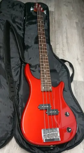 Sx100b-car Rogue Sx100b Series 2 Electric Bass Guitar-gig Bag And Sling-new Strings Knobs