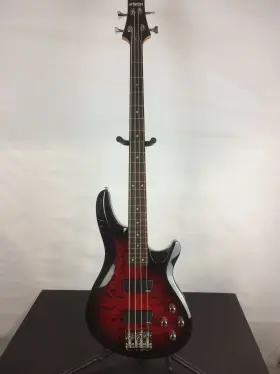 Schecter 730553857577 Open Box C-4 Plus 4-string Bass Guitar Rosewood Fingerboard See Thru