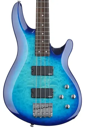 Schecter 810051474091 C-4 Plus Bass Guitar - Ocean Blue Burst