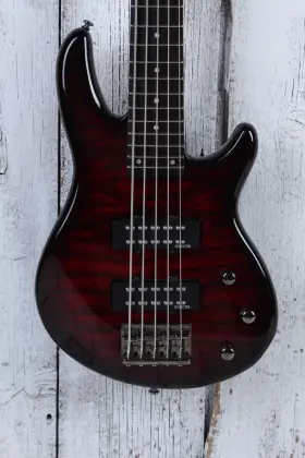 Schecter 839212007916 Raiden Special 5 String Electric Bass Guitar Black Cherry With Gig Bag