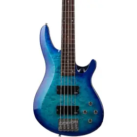 Schecter Guitar Research 197881246877 C-5 Plus Electric Bass Ocean Blue Burst Rf