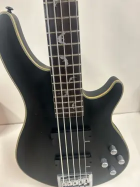 Platinum-5 Schecter Guitar Research Damien Bass - Satin Black P20029770