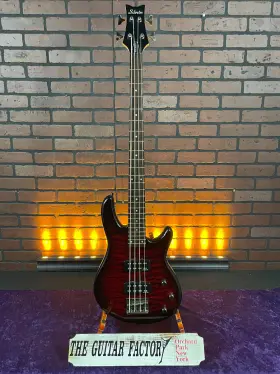Schecter Raidenspecial4-2229-u 2010 Raiden Special-4 Diamond Series 4 String Bass Black Cherry