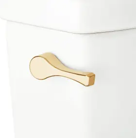 478799 Signature Hardware 781889814116 Carraway Toilet Tank Lever Brushed Gold