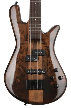 Spector 838164004578 Ns Ethos 4 Bass Guitar - Super Faded Black Gloss