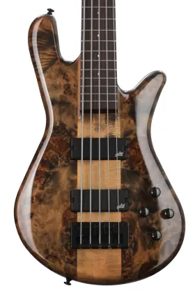 Spector 838164004592 Ns Ethos 5 Bass Guitar - Super Faded Black Gloss