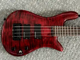Bantam4bc Spector Guitars Bantam 4 Short-scale Bass Rosewood Fretboard Emg Pickups Black Cherry