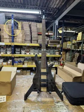 Ns2000briggspop Spector Dan Briggs Signature 5 Strings Bass Guitar Black Stain Gloss
