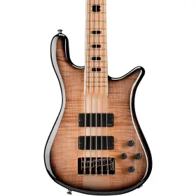 Ns5natbkbg Spector Usa Ns-5 5-string Bass Guitar Natural