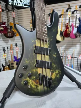 Nsdm5hauntlh Spector Ns Dimension 4 Left-handed Bass - Haunted Moss Matte With Gig Bag #996