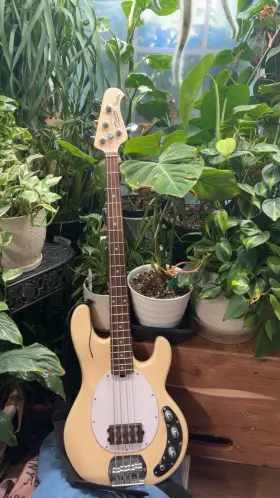 24ca Sterling Yellow Bass Guitar 4 Strings Right Handed Electric