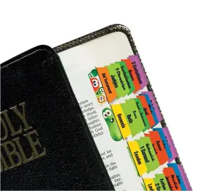 28431 Tabbies Veggietales Bible Tabs Old And New Testament 90 Assorted Including 66 Boo