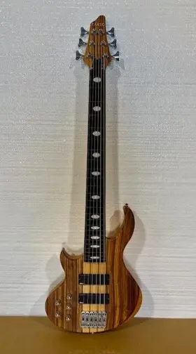 Yg100-6l Tario Fretless Left-handy 6 String Electric Bass Guitar Okoume Body With Bag