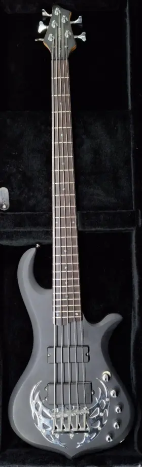 Array5 Traben Array 5 5-string Active Electric Bass Guitar Satin Black Finish With Case