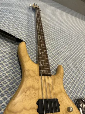 Rb-2500 Washburn Rb-2000 Bantam Bass And Cords