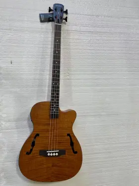 Blb-400 Wishmade 4 String Bass Guitar Hollow Body Acoustic Electric With F Holes And Wood