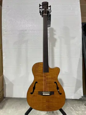 Blb-500 Wishmade Fretless 5 String Bass Guitar Hollow Body Acoustic Electric With F Holes