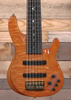 Trbjp2 Yamaha 086792683249 John Patitucci Signature 6-string Bass Amber With Case