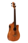 Gold Tone Electro-acoustic Micro Bass 23"+BAG New. Price: $920.83.