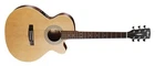Cort 6 String Acoustic-electric Guitar, Right, Open Pore Natural, Full... New. Price: $259.99.
