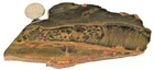 Marra Mamba Tiger's Eye Ken Rogers Collection 8.05 Ounces 1ST Picture Wet #2993 New. Price: $34.99.