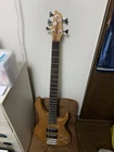 Washburn 5 String Electric Bass Vintage Individual Used. Price: $988.07.