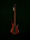 Ibanez SR2405W-BTL Premium Soundgear Brown Topaz 5-STRING Electric Bass Guitar New. Price: $1670.00.