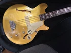 Epiphone Jack Casady Bass Litter Semi-hard Case #QYHL92 Used. Price: $1049.92.