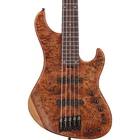 Ibanez MDM1605 5-STRING Electric Bass Natural Mocha Low Gloss New. Price: $1499.99.