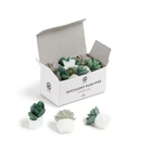 Succulent Push Pins Set 9 Count Green And Purple Decorative Office Accessories New. Price: $18.39.