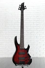 Esp Ltd B-205DX 5-STRING Electric Bass Guitar Red Burst, Rosewood Fingerboard Very. Price: $489.99.