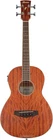 Ibanez PNB14E - Open Pore Natural New. Price: $329.99.