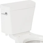Signature Hardware Rilla Compact Toilet Tank & Lid Model: SHRL200WH Open. Price: $77.07.