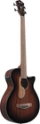 Ibanez AEGB24E-MHS Acoustic Bass With Pickup New. Price: $543.54.