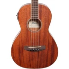 Ibanez PNB14E 4-STRING Acoustic-electric Bass Guitar, Okoume Top, Open New. Price: $329.99.