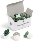 Brands Succulent Push Pins Set, Office Supplies, Three Assorted Styles, 9 Coun New. Price: $20.68.