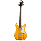 Epiphone Newport Electric Bass Guitar Open. Price: $399.00.