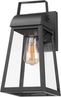 Globe Electric 60000029 1-LIGHT Outdoor Wall Sconce, Matte Black, Clear Glass Sh Open. Price: $27.99.
