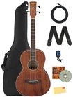Ibanez PNB14E Acoustic Bass Guitar - Open Pore Natural W/ Gig Bag New. Price: $359.99.