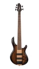 Cort C5PLUSOVMHABB Artisan Series String Bass Guitar. Antique New. Price: $549.99.