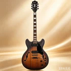 Grote Semi-hollow Vs Electric Guitar, Mahogany Body With P90 PICKUPS,GT335-04 New. Price: $269.00.