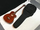 Dean Axcess Acoustic Electric Cutaway 4-STRING Bass Guitar W/ Bag B-local Pickup Open. Price: $299.99.