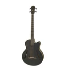 Aria FET-F2M Electro Acoustic Bass New. Price: $579.95.
