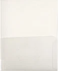 Lion Clear-line 2-POCKET Plastic Folder, Clear, Pack Of (91120-CR-4P) New. Price: $18.79.