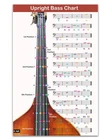 Qmg Upright Bass Fingering Chart With Color-coded Notes, Double 11 X 17 New. Price: $24.99.