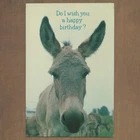 Unused Vintage American Greetings Adult Birthday Card, Funny Donkey Ass Humor New. Price: $14.99.