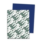 Neenah Paper WAU21906 Astrobrights Blue 24LB 500 Sheets 8.5X11 New. Price: $38.36.