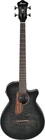 Ibanez AEGB25E-TKH New. Price: $637.41.